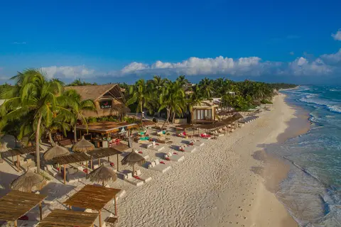 La Zebra in Cancún — foto 16
