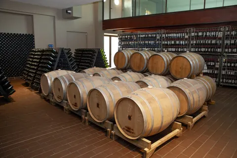 Camping La Masseria foto 30