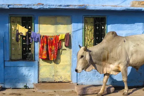 10-daagse rondreis Namasté in Noord-India in Delhi — foto 3