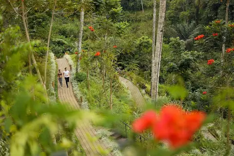 Padma Resort Ubud in Payangan — foto 7