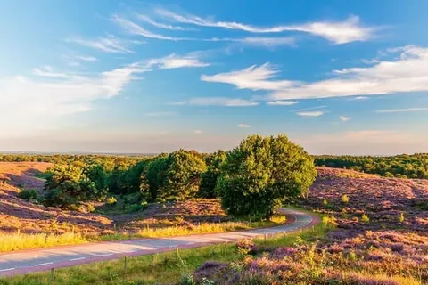 Golden Tulip Ampt van Nijkerk foto 24