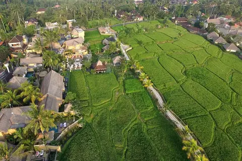 Wapa di Ume in Ubud, foto 17