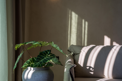 Hotel Nalu Resort & Spa foto 9