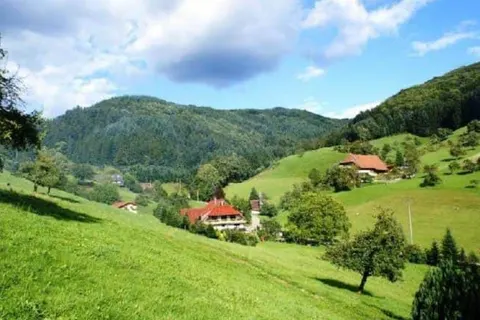 Hotel Grüner Hof foto 10