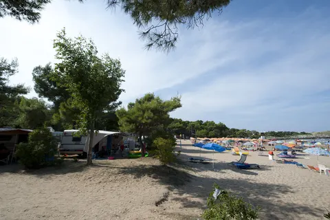 Camping Punta Lunga foto 3