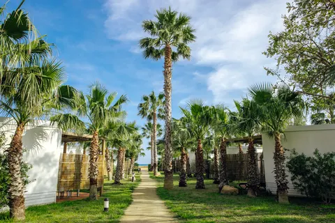 Camping Alannia Els Prats foto 5
