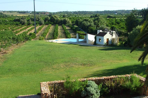 Quinta da Mesquita foto 7