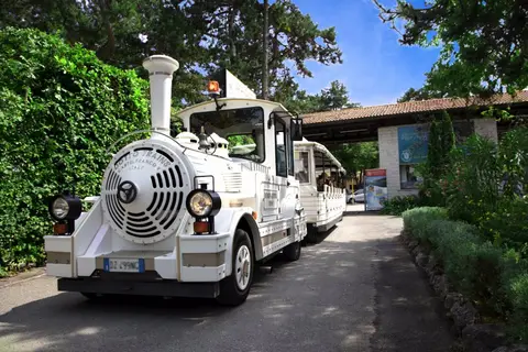 Camping Mare Pineta in Duino Aurisina / Devin - Nabrežina — foto 5