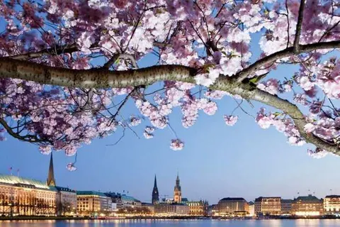 Kleinhuis Hotel Baseler Hof foto 18