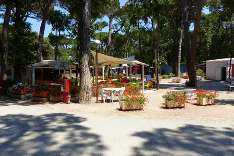 Etruria Camping Village in Castagneto Carducci — foto 27