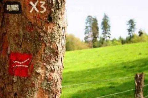 Hotel Restaurant Forsthaus Lahnquelle foto 6