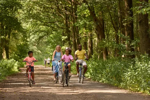 Camping Rcn De Noordster foto 24