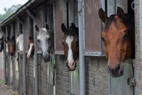 Vakantiepark De Lourenshoeve foto 9