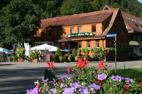 Hotel Grüner Hof foto 1