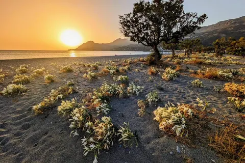 Camping Apollonia foto 15