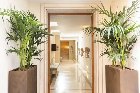 Palm Suites in Rome, foto 27