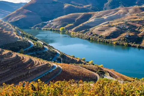 Douro Cister Hotel & SPA in Tarouca — foto 12