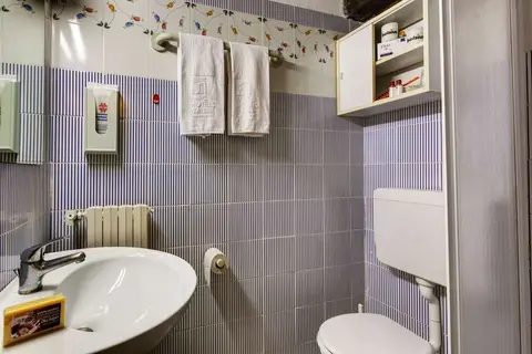 Hotel Leonardo Da Vinci in Limone sul Garda, foto 14