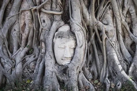 Explore Tropical Thailand foto 3