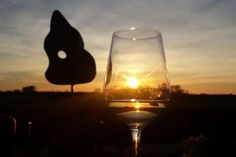 Bed and Breakfast Welgelegen foto 19