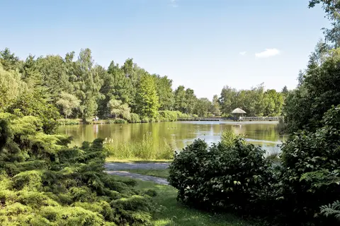 Center Parcs Limburgse Peel in America — foto 14