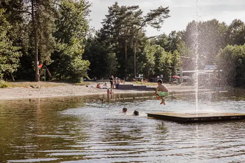 De Baalse Hei in Turnhout