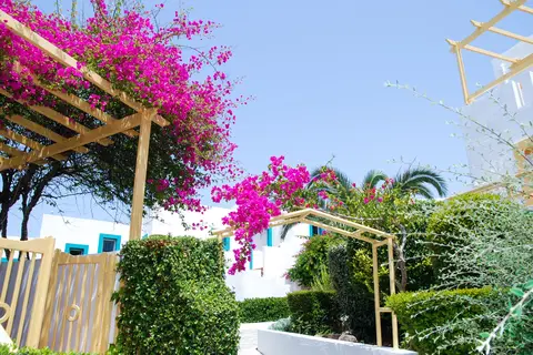 Mastichari Bay Hotel & Family Suites in Μαστιχάρι — foto 21