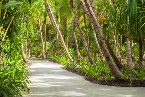 Dusit Thani Maldives in Muddhoo — foto 4