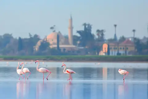Hotel Indigo Larnaca in Larnaca — foto 26