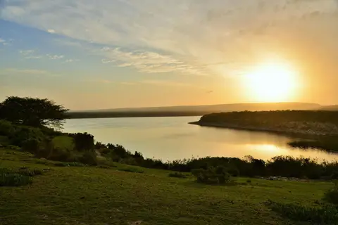 De Hoop Collection in De Hoop Nature Reserve — foto 5