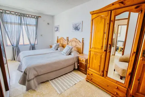 Hermosilla in Palma del Río — foto 11