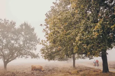 Landgoed Het Grote Zand foto 21