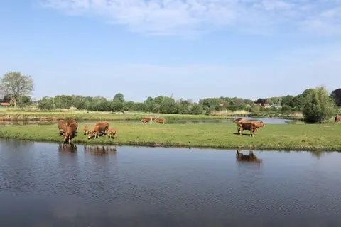 Landhotel De Hoofdige Boer in Almen — foto 21