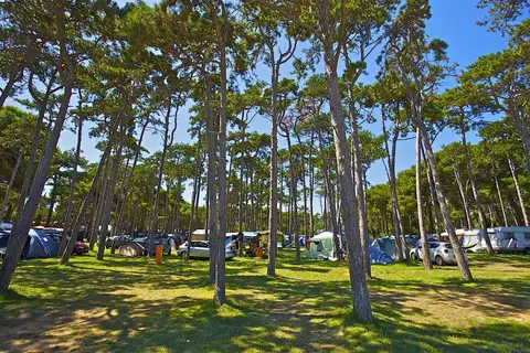 Arena Medulin Campsite in Medulin, foto 9