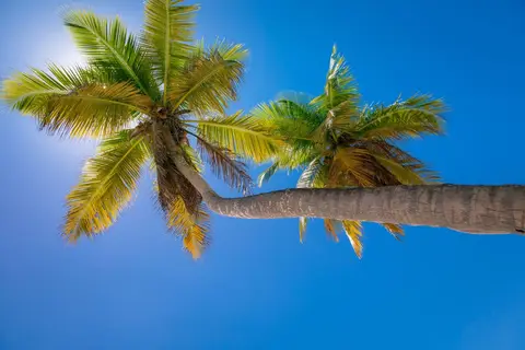 Cruise Dominicaanse Republiek naar Italië, incl. 6 nachten Punta Cana in Cruisereizen, foto 3