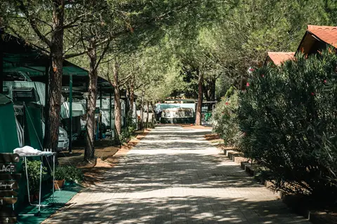 Village Oasi in Orbetello — foto 14