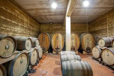 Tenuta Moriano in Montespertoli — foto 10
