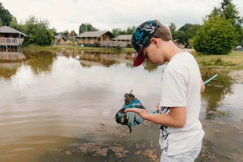 Vakantiepark Sallandshoeve foto 8