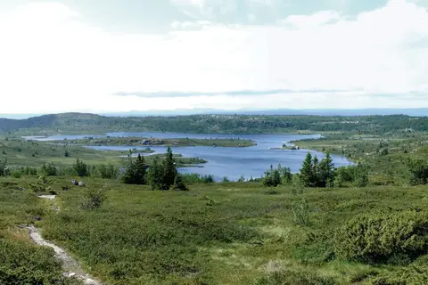 Fjorden, Gletsjers en Dalen in Noorwegen — foto 27