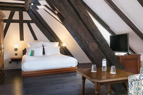 Hôtel de l'Europe by HappyCulture in Straatsburg, foto 18