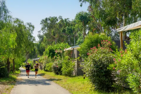 Camping Arinella Bianca foto 14