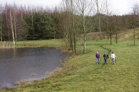 Center Parcs De Limburgse Peel foto 12