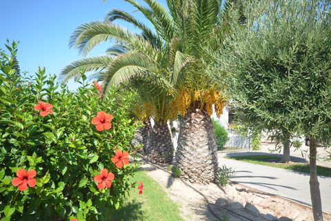 Gran Vista - inclusief huurauto foto 46