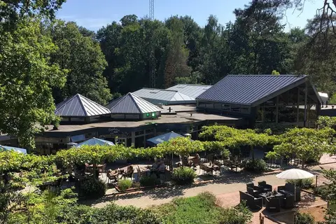Maasduinen in Belfeld — foto 14