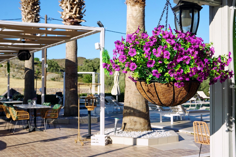 Appartementen Marilena foto 4