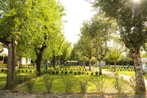 Marina Family Village foto 14