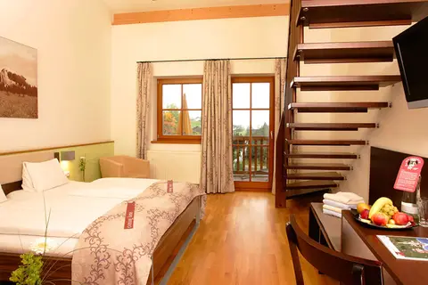 GUT Wenghof - Family Resort in Werfenweng, foto 9