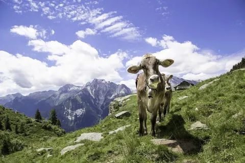 De Romantische Route in Oostenrijk foto 9
