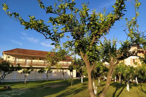 Ever Green in Δημοτική Ενότητα Λευκιμμαίων