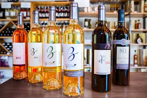 Domaine Aramis in Marsan — foto 42